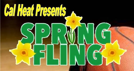 PalmSprings2016/SpringFlingLogo.jpg